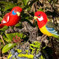 🦜Electric battery-powered voice-controlled parrots