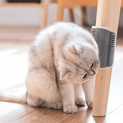 🐱🧶 Självborstande Kattborste för Vägg – Katter Kan Gnugga & Borsta Sig Själva