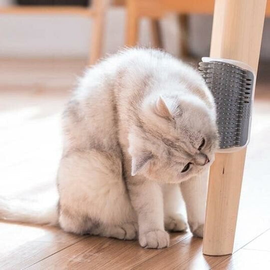 🐱🧶 Självborstande Kattborste för Vägg – Katter Kan Gnugga & Borsta Sig Själva