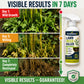 🌿🔥 50 % RABATT NU! 🛑 Rotverkande Ogräsmedel – Bekämpar Ogräs Vid Rötterna & Hjälper Till Att Minska Återväxt 🌱✨
