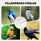 🐦🛁 50 % RABATT! 2-i-1 Hängande Foderautomat & Bad för Papegojor – Mata & Låt Fågeln Bada Enklare ✨