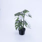 Monstera glasunderlägg 3D-print☘