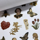 Stickerbok om flickors estetik