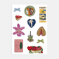 Stickerbok om flickors estetik