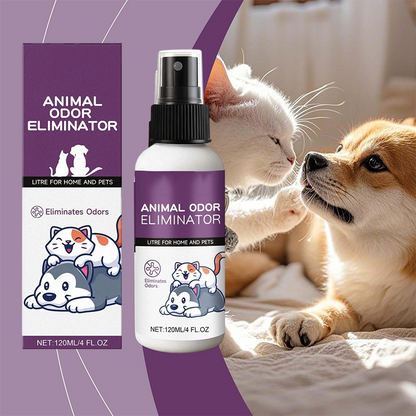 Effektiv luktborttagande spray för husdjur 🐶🐱