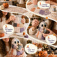 🎃 Årets Mysigaste Halloween DIY-kit – Skapa Dina Egna Charmiga Spöken 👻