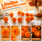 🎃✨ Halloween LED-Ljusslinga med Ringblommor – Skapa Magisk Höststämning Inomhus & Utomhus