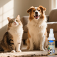 🏆🇸🇪 Populär bland svenska kunder🐶 No-Brush Pet Dental Spray – Enkel Daglig Munvård För Hundar & Katter