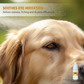 🏆🇸🇪 Populär bland svenska kunder🐶 Skonsamma Ögondroppar för Husdjur – Daglig Vård för Klara & Fräscha Ögon