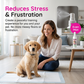 🐶🐱✨ 50 % RABATT! Potträningsspray för Hundar & Katter – Hjälper till att Stoppa Oönskad Kissning Hemma