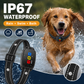 🐕🔇 50 % RABATT NU! Smart Anti-Bark Halsband – Stötfritt med Vibration & Pip, Justerbar Känslighet 🐾✨