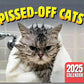 🐱😾 50 % RABATT! Rolig Kattkalender med Irriterade Katter – 2027 års Sötaste & Roligaste Kalender 📅✨