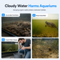 🐢🐟 Automatisk Bottenrenare för Akvarium – Samlar Upp Avföring & Smuts från Botten för Klarare Vatten 💧✨