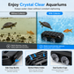 🐢🐟 Automatisk Bottenrenare för Akvarium – Samlar Upp Avföring & Smuts från Botten för Klarare Vatten 💧✨